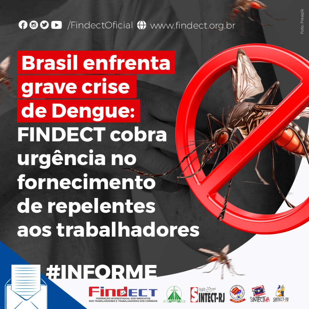 A imagem mostrar um texto sobre o enfrentamento da dengue no Brasil.