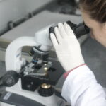 CNPq lançará bolsa de R$ 13 mil para fixar pesquisadores no Brasil, anuncia novo presidente