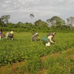 Sancionada lei que institui a Política Nacional de Juventude e Sucessão Rural