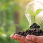 CTB defende desenvolvimento sustentável com empregos e direitos na COP-30