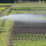 Guerra no Oriente Médio e o alerta para a agricultura familiar brasileira