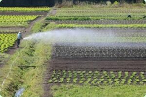 Guerra no Oriente Médio e o alerta para a agricultura familiar brasileira